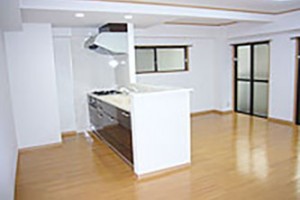 re_case_img019