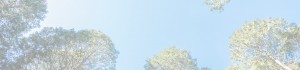 top_bg002